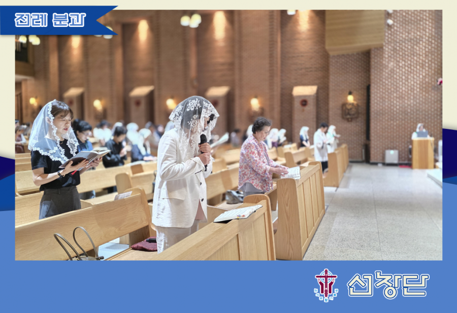 cbbb0b7e1bdd5a37c5517f650bf09dc5_1762853588_4032.png cbbb0b7e1bdd5a37c5517f650bf09dc5_1762853588_4032.png